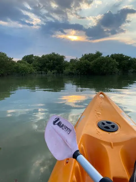 Kayak paddling through calm mangrove waters at sunrise on a Qatar kayaking tour