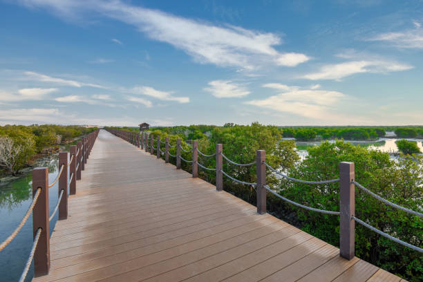 Purple Island full of Mangrove in Thakira. Known as Dakhira