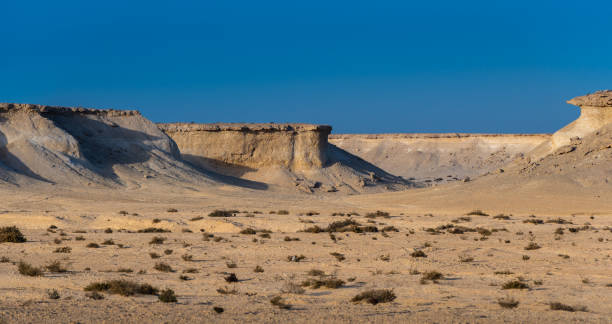 Sunset in the desert of Qatar, east of Doha, closed by in the World Heritage Site form Unesco, Al Zubarah.
