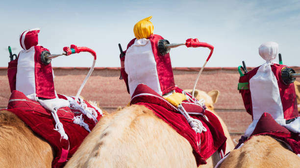 Detail of remote controlled Camel Racing Robot Jockeys mounted on the back of Racing Camels side by side. Robot Jockey Camel Racing is a popular sport in the Middle East. Robot Jockeys are a replacement for human jockeys. Racing Camel Robotic Jockeys, Qatar, Persian Gulf Countries, Middle East, Western Asia