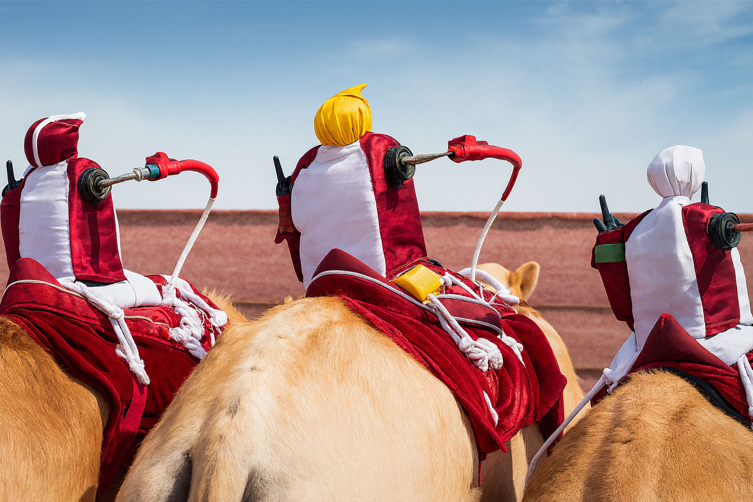 Desert safari with camal ride
