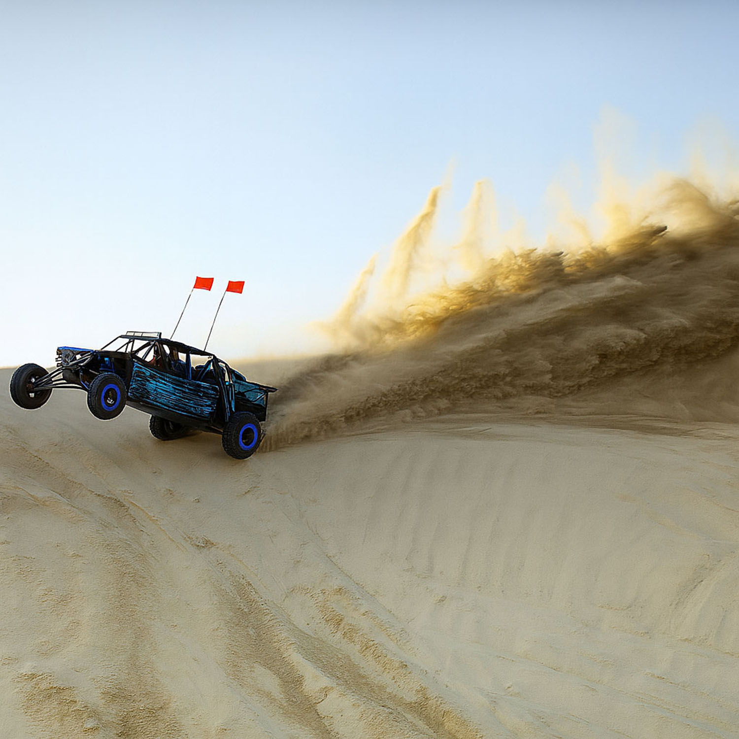 Dune buggu bushing desert safari