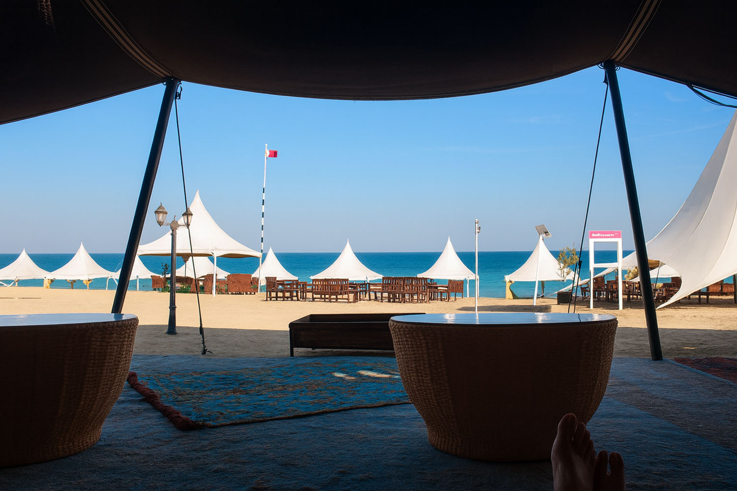 Full-day desert Safari with sea camp