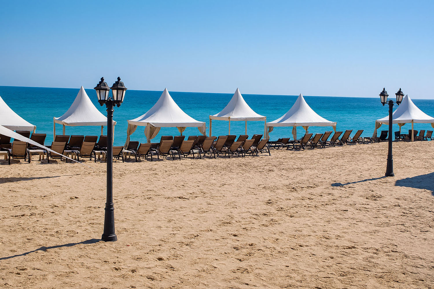 Full day desert safari with sea