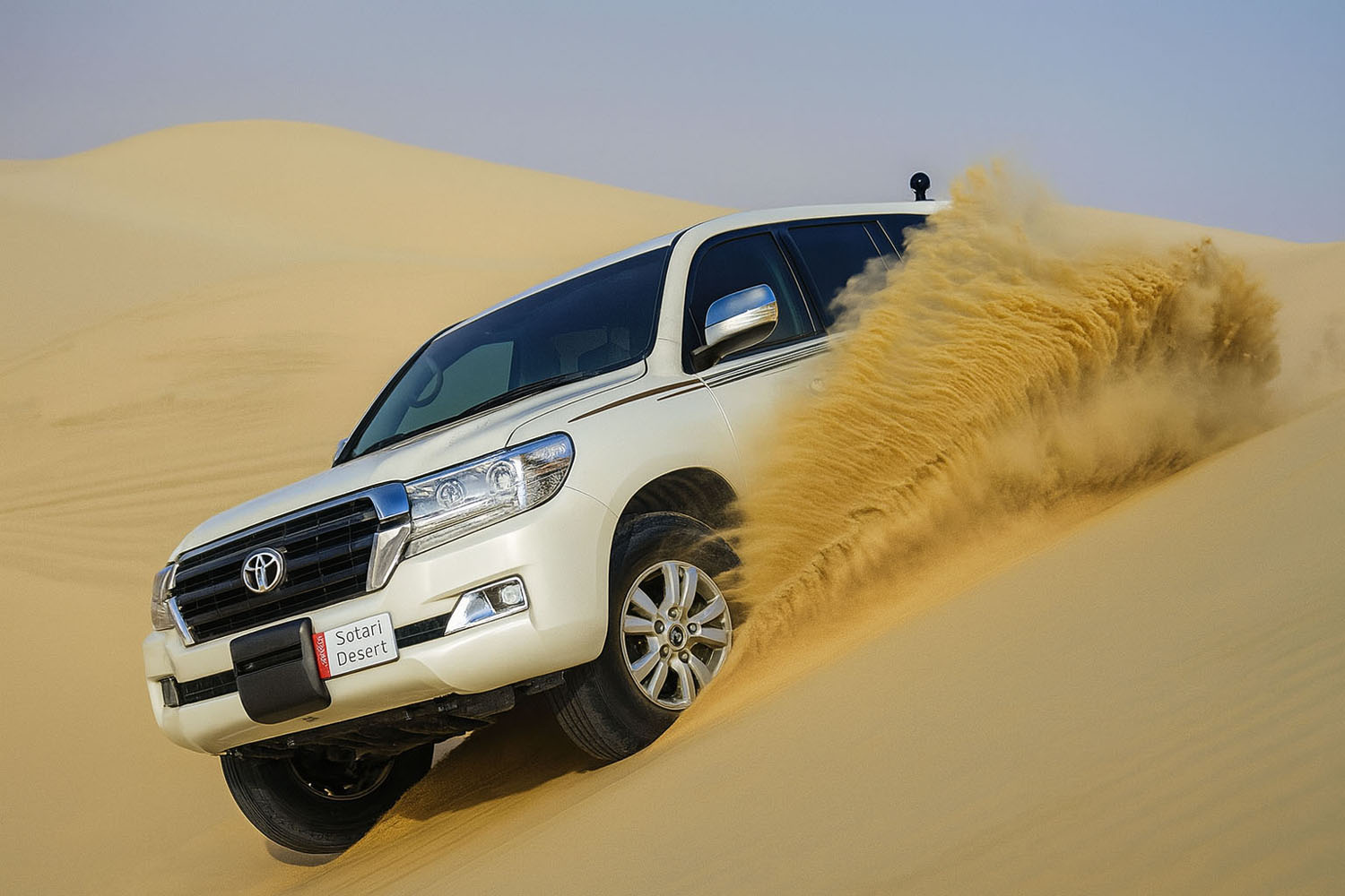 Over night Desert safarai with Dune bushing