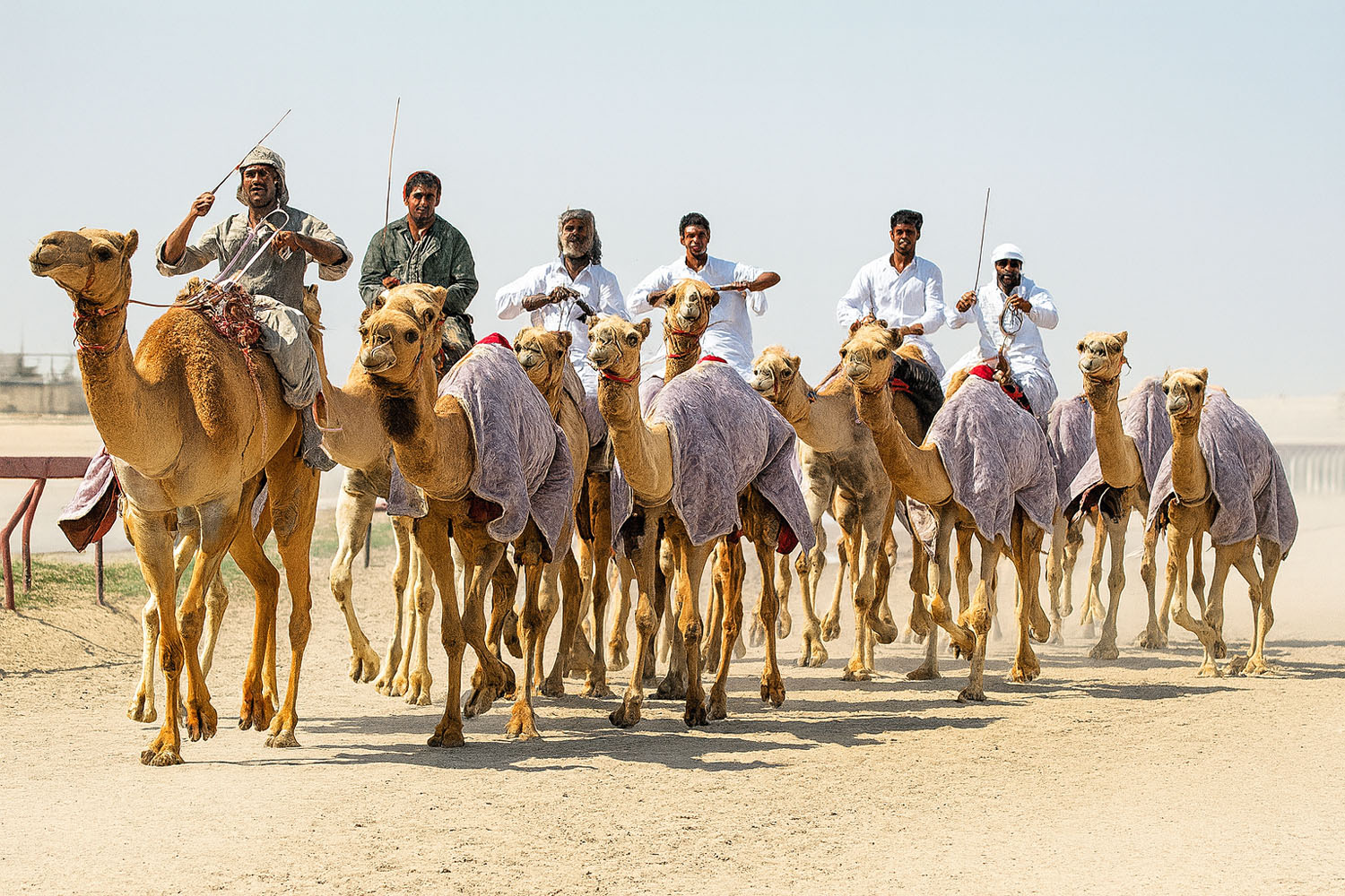 Private Desert Safari With Camel Ride