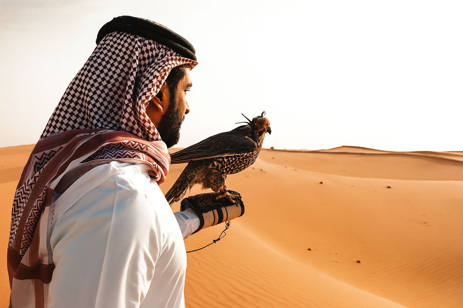 Sunshin with falon desert safari