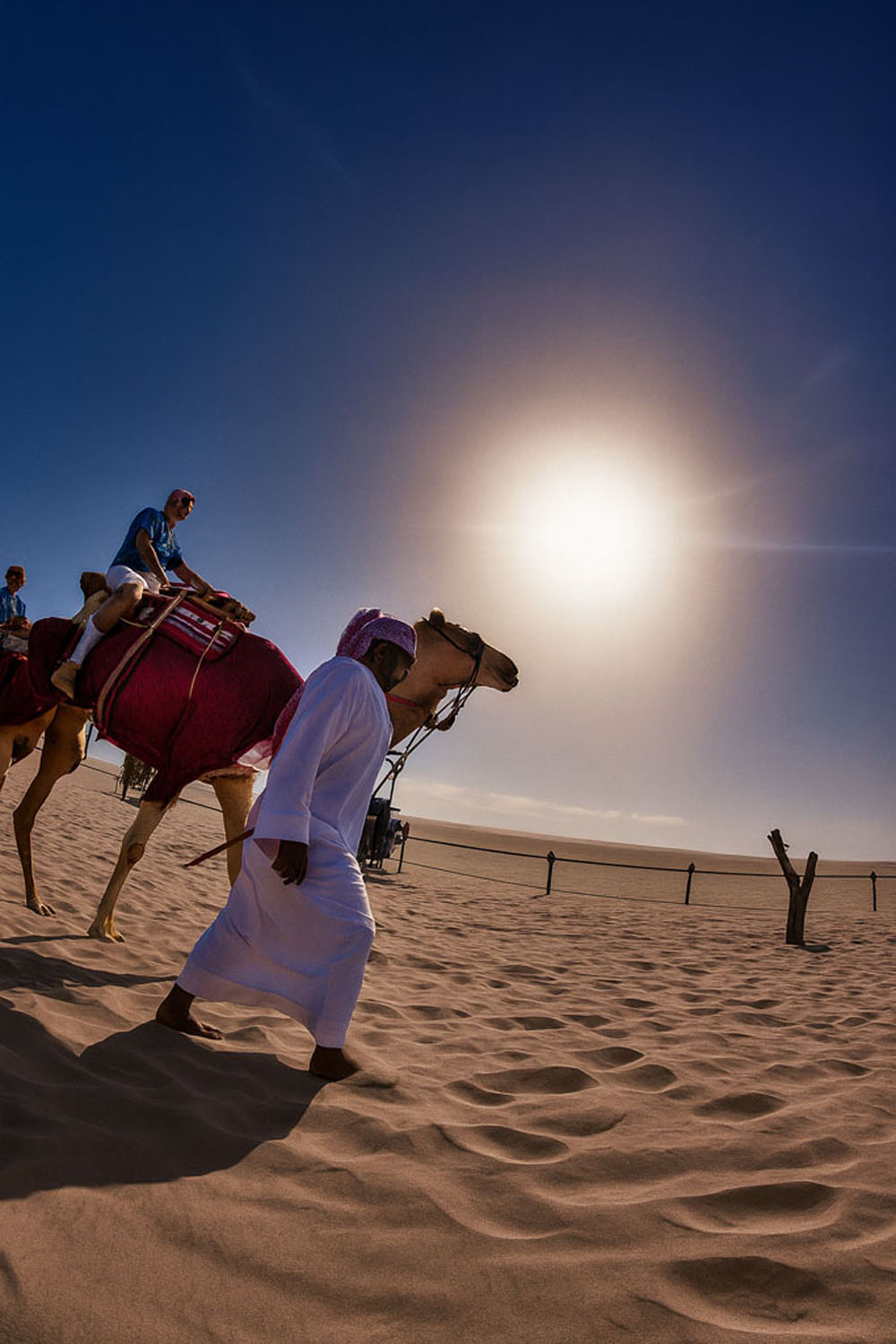 camal ride sunshine desert safari